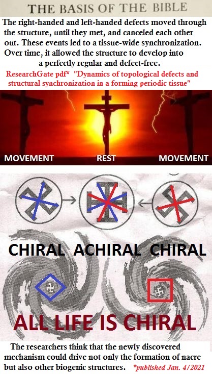 Christ crucified ALL LIFE IS CHIRAL and ACHIRAL basis of bible MOTHER of PEARL with source of quote Superposition